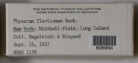 Image Associated With the Occurence